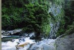 img547.jpg