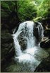 img651.jpg