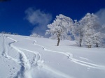 s-P1180088.jpg