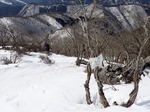 s-P3050038.jpg