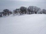 s-P3050068.jpg