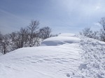 s-P3120045.jpg