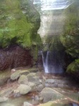 s-P3150006.jpg