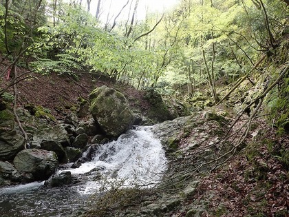 s-P4280014.jpg