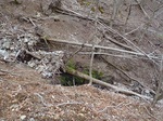 s-P4290093.jpg