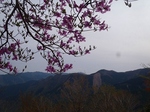 s-P4290096.jpg