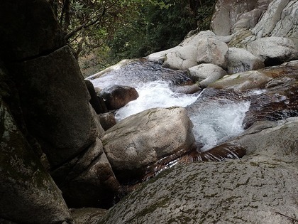 s-P5030021.jpg