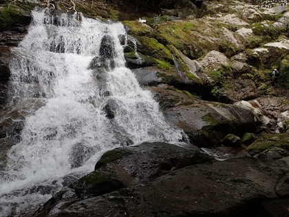 s-P5030026.jpg