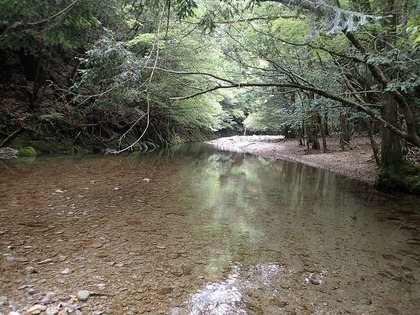 s-P5030043.jpg