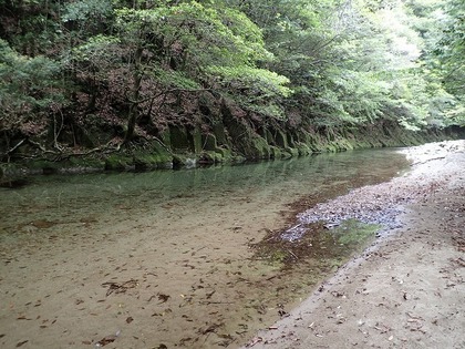 s-P5030044.jpg