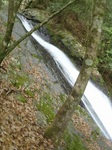 s-P5150007.jpg