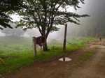 s-P6150087.jpg