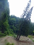 s-P6150173.jpg