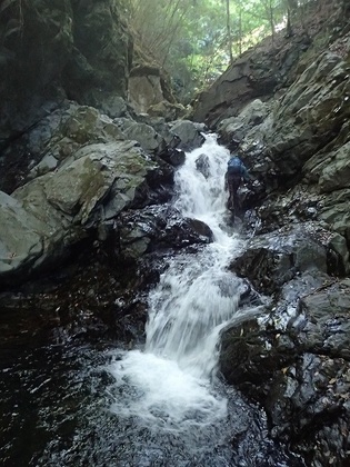 s-P6170013.jpg