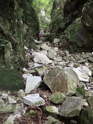 s-P7170101.jpg