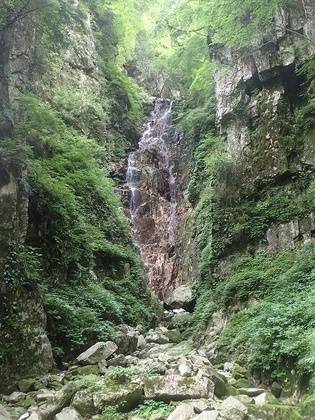 s-P7170111.jpg