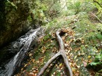 061112-ymg-004.jpg