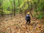 061112-ymg-007.jpg
