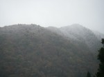 061112-ymg-008.jpg