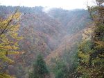 061112芦生由良川源流 005.jpg