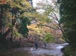 061112芦生由良川源流 015.jpg