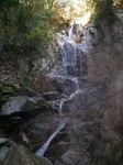 061118-ymg-367.jpg