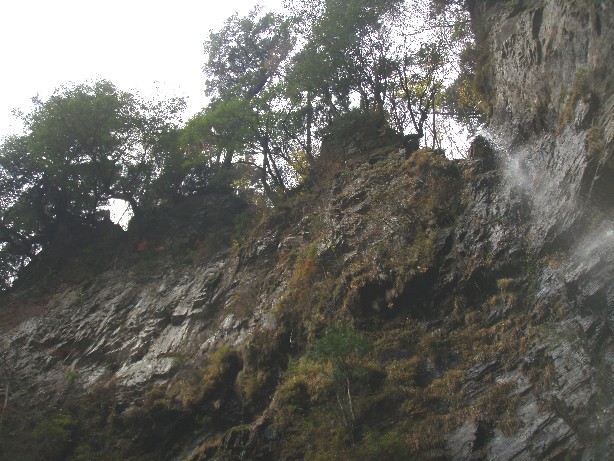 081117-tosi-008.jpg