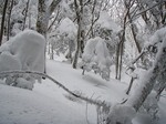 090118-hayashi-001.jpg