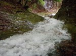 090802-ikko-005.jpg