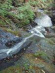 090912-ikko-002.jpg