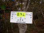 091011-ikko-003.jpg