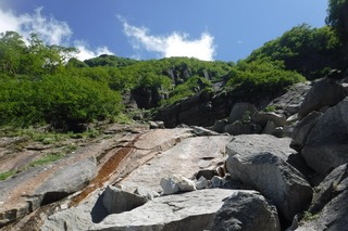 13-S__24600675.jpg