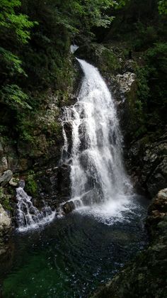 1564444623516 (1).jpg
