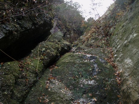 2008-12-01-tosi-005.jpg