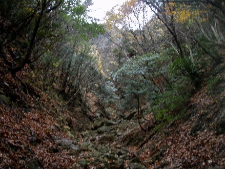 2008-12-01-tosi- 003.jpg