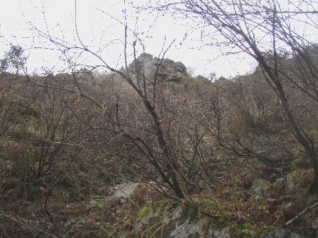 2008-12-01-tosi -007.jpg