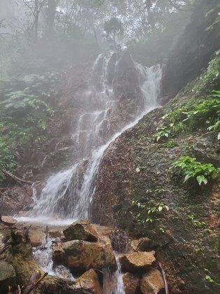 20190715113701_p.jpg