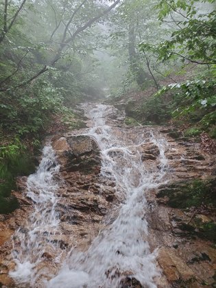 20190715114506_p.jpg