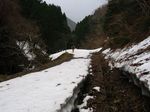 残雪の林道を行く.jpg