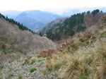 北川支流南谷 043.jpg