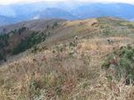 北川支流南谷 057.jpg