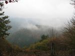 芦生 ハナノ谷段山2007.11.18 019.jpg