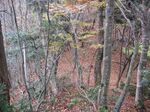 芦生 ハナノ谷段山2007.11.18 037.jpg