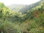 奥美濃、三国岳 011.jpg
