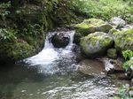 奥美濃、三国岳 027.jpg