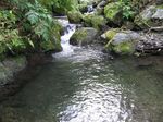 奥美濃、三国岳 039.jpg