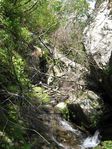 奥美濃、三国岳 051.jpg