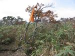 三国岳 山頂にて109.jpg