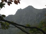 奥美濃、三国岳 156.jpg