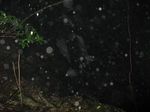 二条2b.jpg
